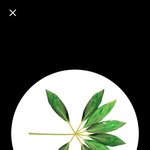 [EXO] 와 이거 <b>암시</b>다