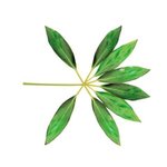 [EXO] 장!사!장 나간다!!!!씨팟!!!!!