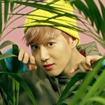 [EXO] 아 풀 하니까 이거 <b>생각</b><b>남</b>