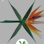 [EXO] 나는야 엑소엘 파워 <b>당당</b>