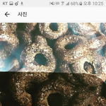 [EXO] 오세훈 <b>코코밥</b> 다 스포 했었던거냐
