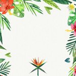 [EXO] 배경 가져가라