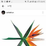[EXO] <b>오센</b> 인별ㅠㅠㅠㅠㅠㅠ