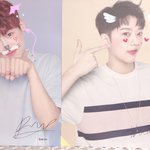 [워너원] <b>참새</b>와 판린이의 스노우