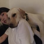 [아이유] 활동..이..고프다...