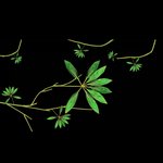 [EXO] 야 <b>장사</b>장 ㄹㅇ나가는듯
