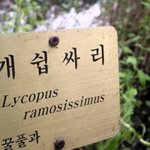 [EXO] 엑소가 저 풀 먹으라고하면