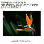 [EXO] 스엠이 <b>물량</b>만 많이 풀고 우리가 스밍만 개열심히하면