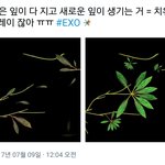 [EXO] 9충 너무<b>애잔</b>해..
