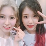 다이아에서 <b>정채</b>연보다