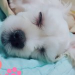 내친구가 남자친구랑싸우다가