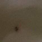 나 허리라인 짝짝<b>이임</b>ㅠㅠㅠㅠㅠㅠㅠ
