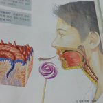 [댓글부탁해] 이얼굴로다시태어날수있다면추반4