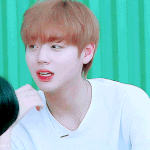 [워너원] 윙의 관계성을 응원해