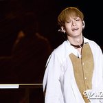 [EXO] 기사사진 실화야?