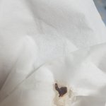 [댓글부탁해] 나 곰팡이 <b>우유</b> 먹었어...(초코에몽) 사진 유