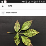 [EXO] ㅅㅂ둥이냐?