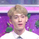 [EXO] 종대 금발보고 <b>진정</b>하자