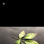 [EXO] <b>사칭</b>계되게잘만들었다