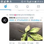 [EXO] 뭐 이런 <b>관</b><b>종이</b>..ㅋㅋㅋㅋㅋ