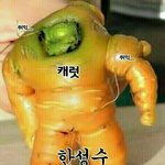 [세븐틴] 다들 야구빠따 챙기셈