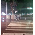 [임영민] 영민이 목격짤