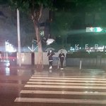 [임영민] <b>우산</b>