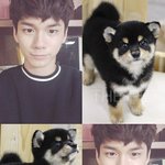 [워너원] <b>개설</b>렘