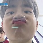 [워너원] 애교와 먹금하는 댕댕이들 설렘