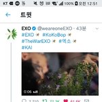 [EXO] 이사람 유명함??ㅋㅋㅋ