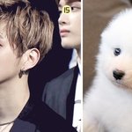 [워너원] <b>개설</b>렘