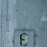 [EXO] 이거 그 <b>비디오</b> 테잎같다