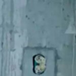 [EXO] 오 ㅅ1발 밑에 <b>확대</b>한 이거