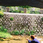 [방탄소년단] 우리애들은 일코짤이 많아서 넘 <b>조음</b>