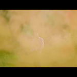 [EXO] ㅅㅂ이거 <b>김종인</b>이 멀리서 점점 다가오는건데 초능력