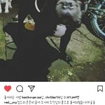 [EXO] 찬열이 강아지 찾은글에 호랑이<b>jk</b>가 댓글쓴거 이제봄