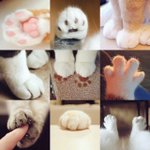 [뉴이스트] ㅅㄷ선따고 색칠하다 현타 온다..