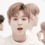 [워너원] 이거 혹시
