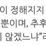 [세븐틴] <b>플디</b>보다 말 못한다