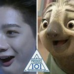 [워너원] 미친ㅋㅋㅋㅋ주토<b>피아</b>에 나무늘보