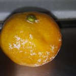제주도가서 귤샀어요.(귤 상태에 대해 여쭤보고 싶습니다.)