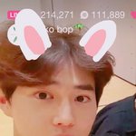 [EXO] 이렇게 긔<b>여운</b> <b>토끼</b> 봤냐고ㅠㅠㅠㅠ