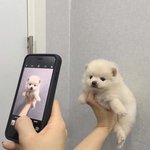 [댓글부탁해] 비행기 <b>예약</b>하려는데 도와줘ㅠ