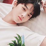 [워너원] <b>배진영</b>ㅇ 닮은꼴