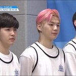 [워너원] 댕댕이