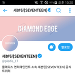 [세븐틴] 아...플디부심 뿜뿜