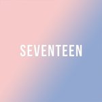 [세븐틴] 나 오늘 진짜 <b>플디</b> 감동 먹음 ㅠㅠ