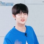 [워너원] 이쯤되면 진영이 탈씨9 해야 된다 정말로