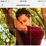 [EXO] 근데뭐다들느꼈겠지만 저서체에 초록색 너무 네이년같음ㅋㅋ