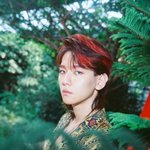 [EXO] 와 어떻게 이런 컨셉을 이렇게